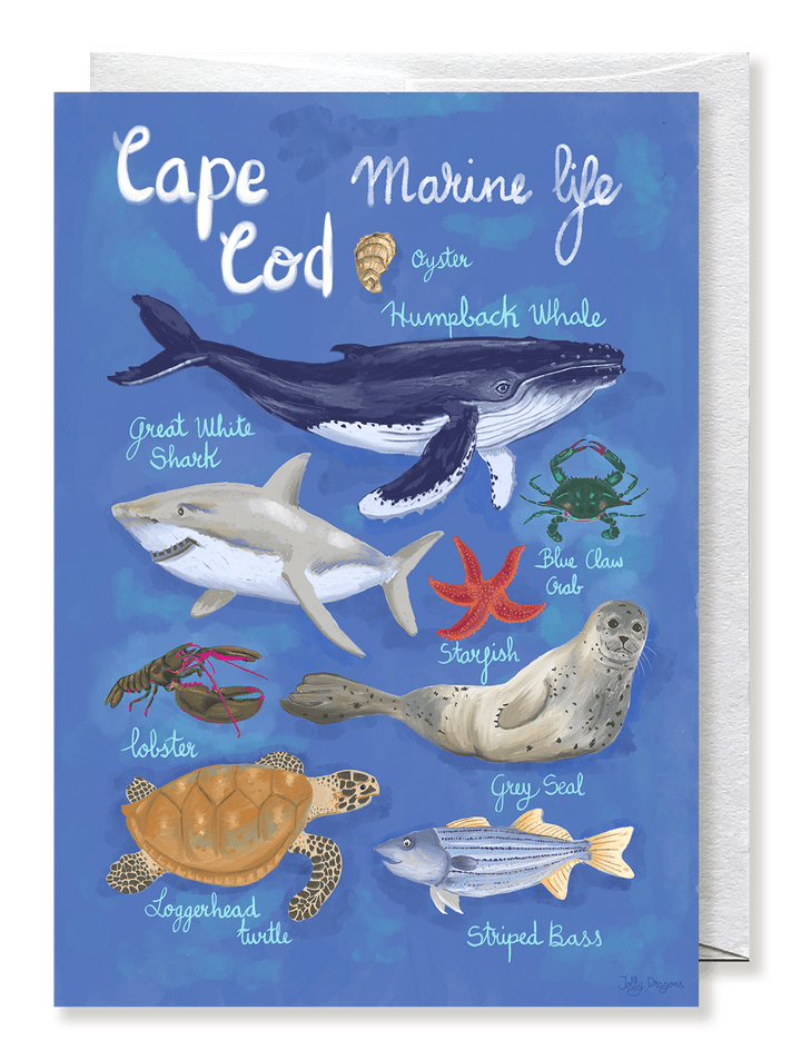 Cape Cod marine life card - Jolly Dragons